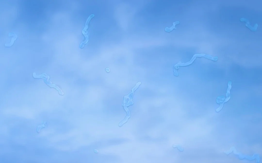 What Are Eye Floaters & When Are They Dangerous?